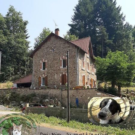 Apartamento E Lu Chantauziau La Monnerie-le Montel Exterior foto