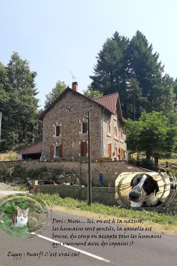 Apartamento E Lu Chantauziau La Monnerie-le Montel Exterior foto